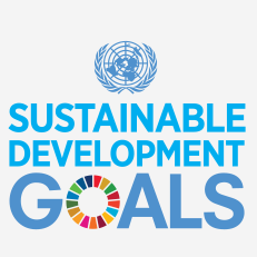 SDG graphic