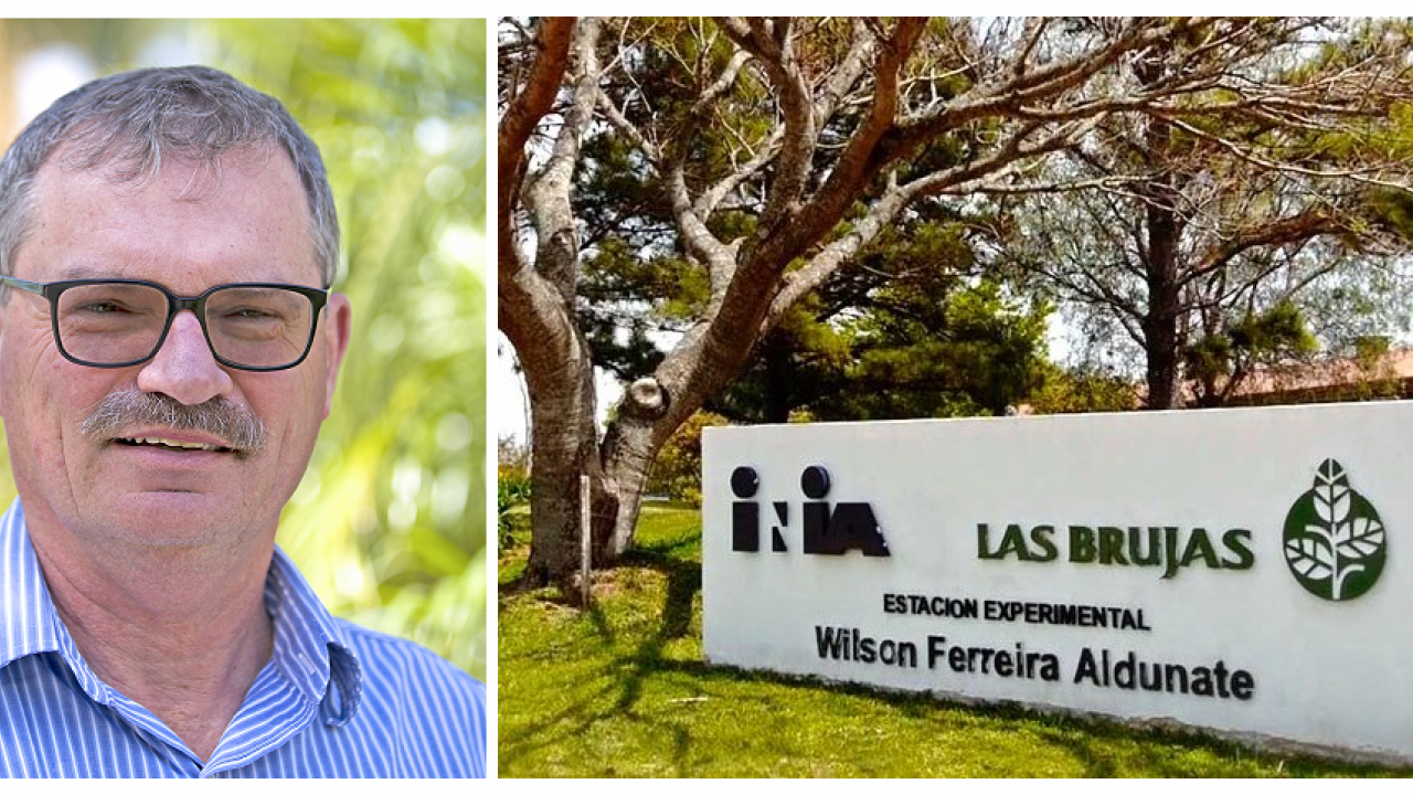 Steve Fennimore, UC Davis, will travel to INIA Las Brujas in Uruguay for a Fulbright Project on weed management. Steve Fennimore, UC Davis, will travel to INIA Las Brujas in Uruguay for a Fulbright Project on weed management.