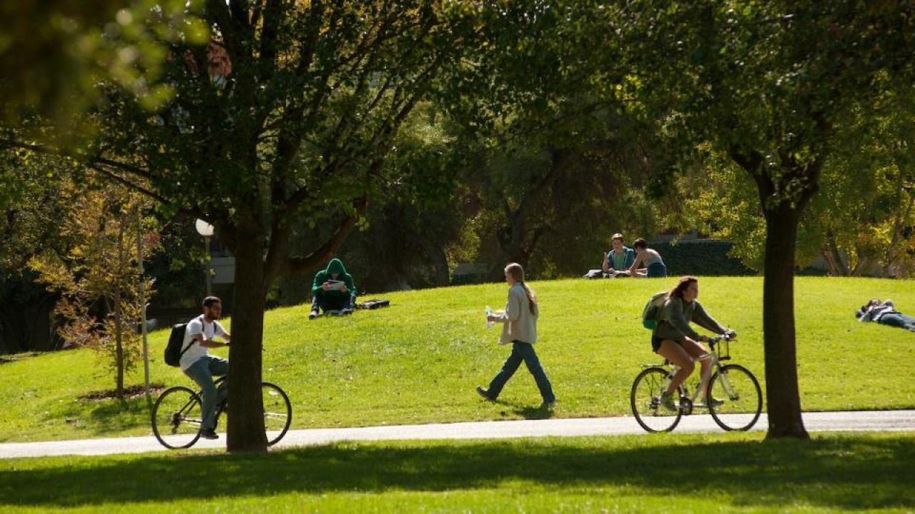 UC Davis campus