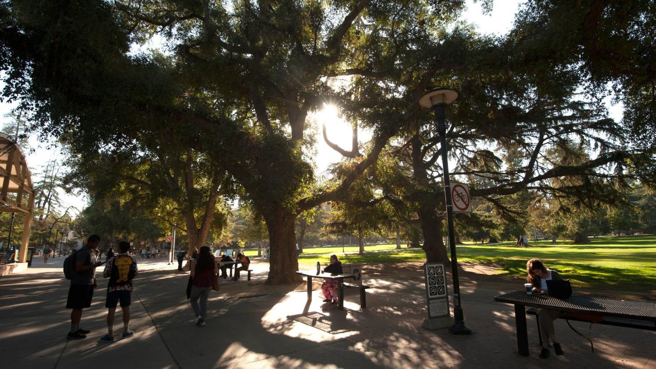 Campus