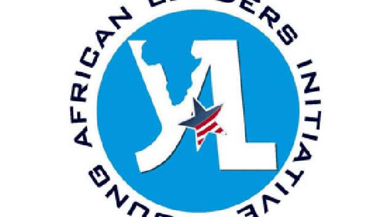 Young African Leaders Initiative