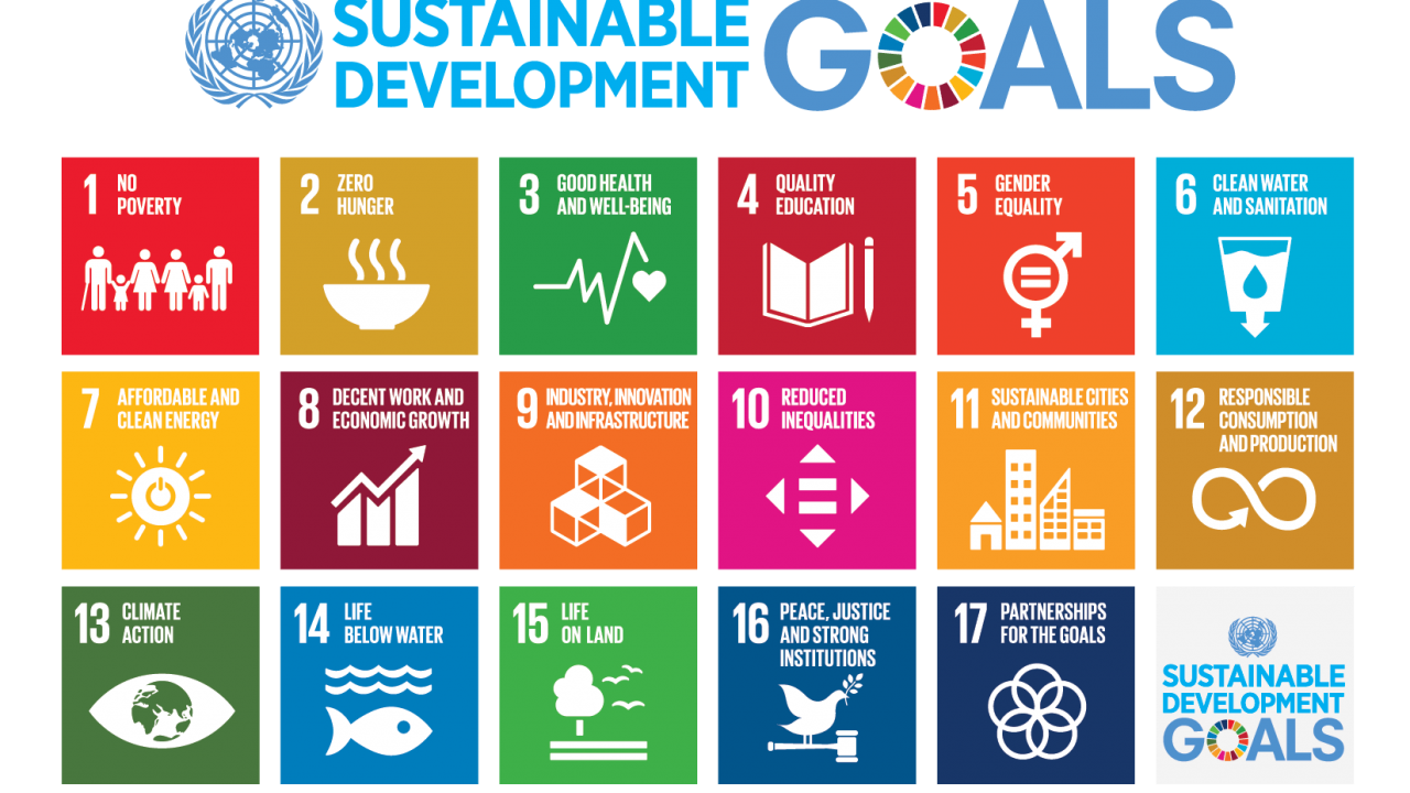 SDGs graphic