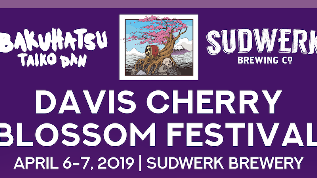 Cherry Blossom Festival graphic
