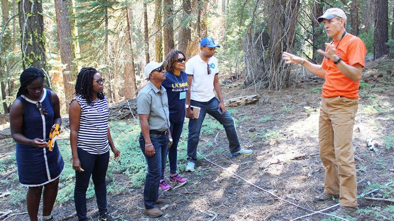 The classroom is large for the Mandela Washington fellows at UC Davis’ energy policy institute. Here, the 2016 fellows learn about carbon measurement in a Tahoe forest. (Courtesy photo) fellows-uc-davis