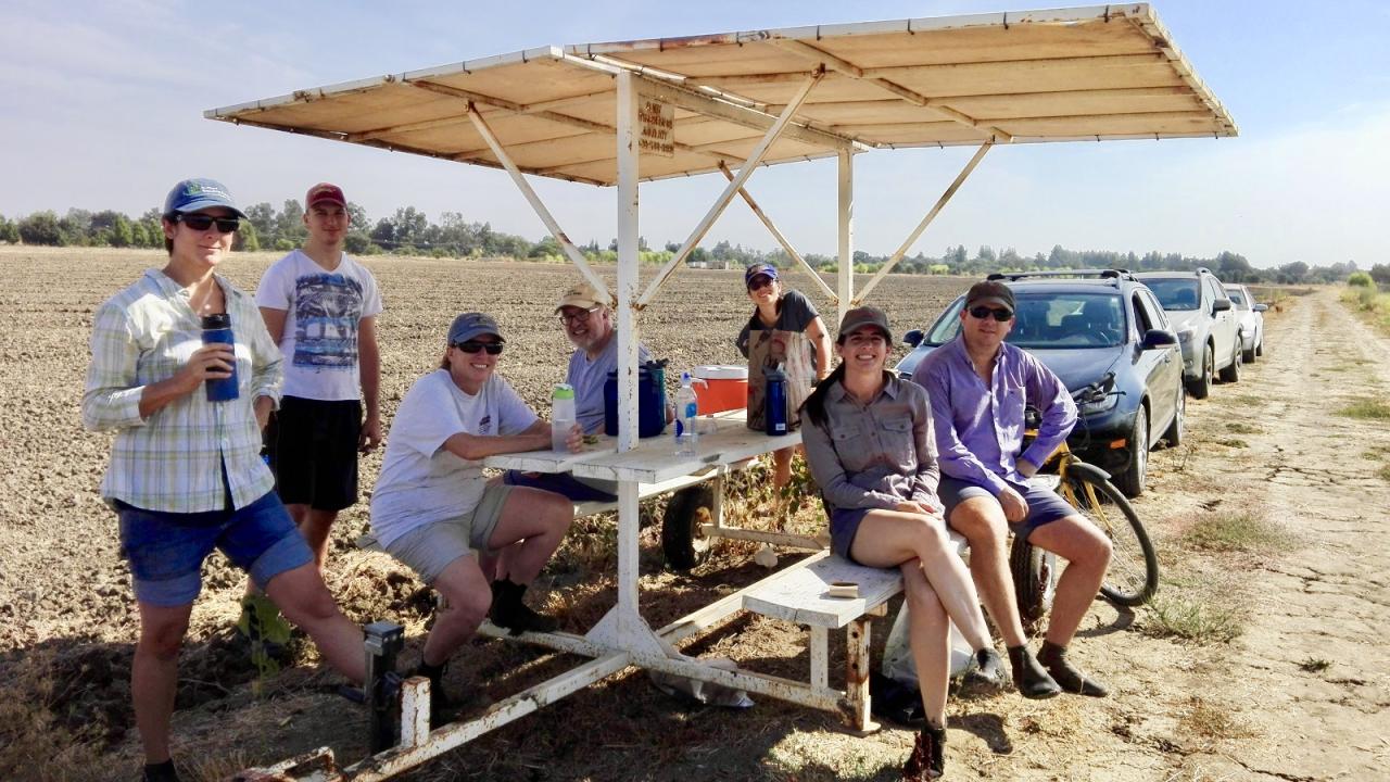 Elsa Andrea Brugnoli with team in the field