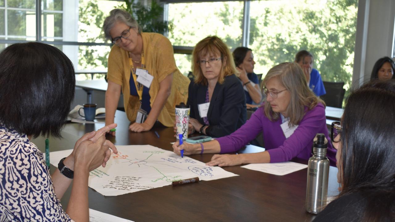 Faculty in curriculum enhancement workshop