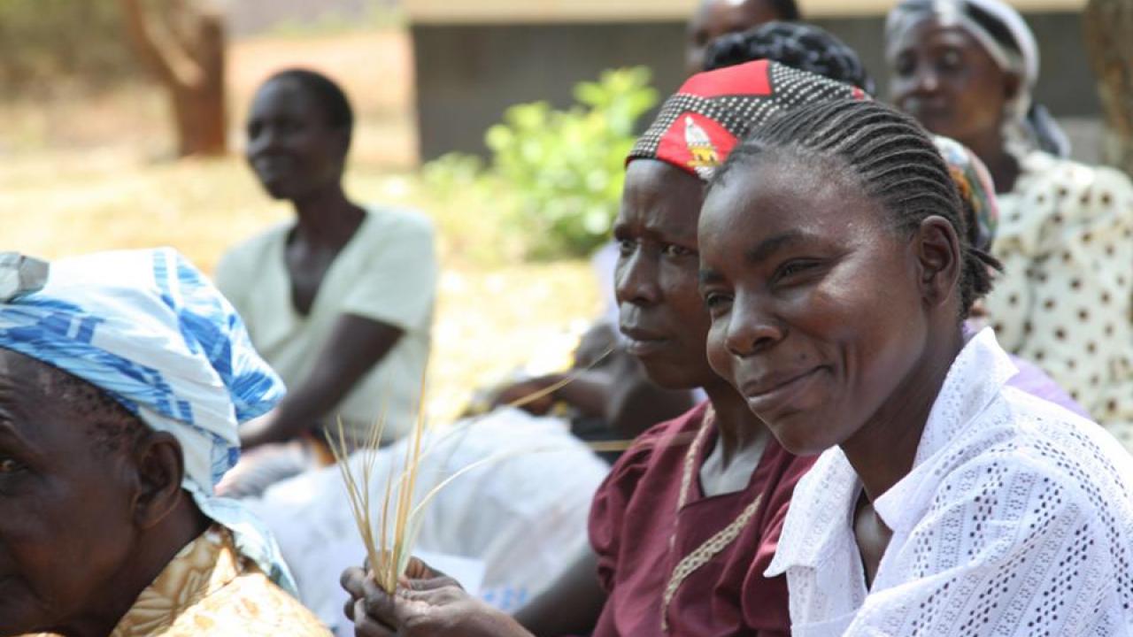 In western Kenya, a UC Davis research team explains the benefits of more productive maize seeds to small-scale farming families. (Emilia Tjernstrom) In western Kenya, a UC Davis research team explains the benefits of more productive maize seeds to small-scale farming families.