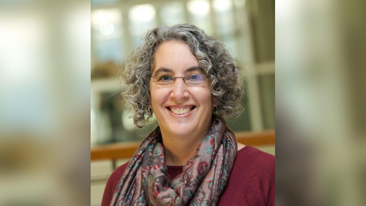 Associate Professor and Associate Vice Provost Nancy Erbstein. Nancy Erbstein