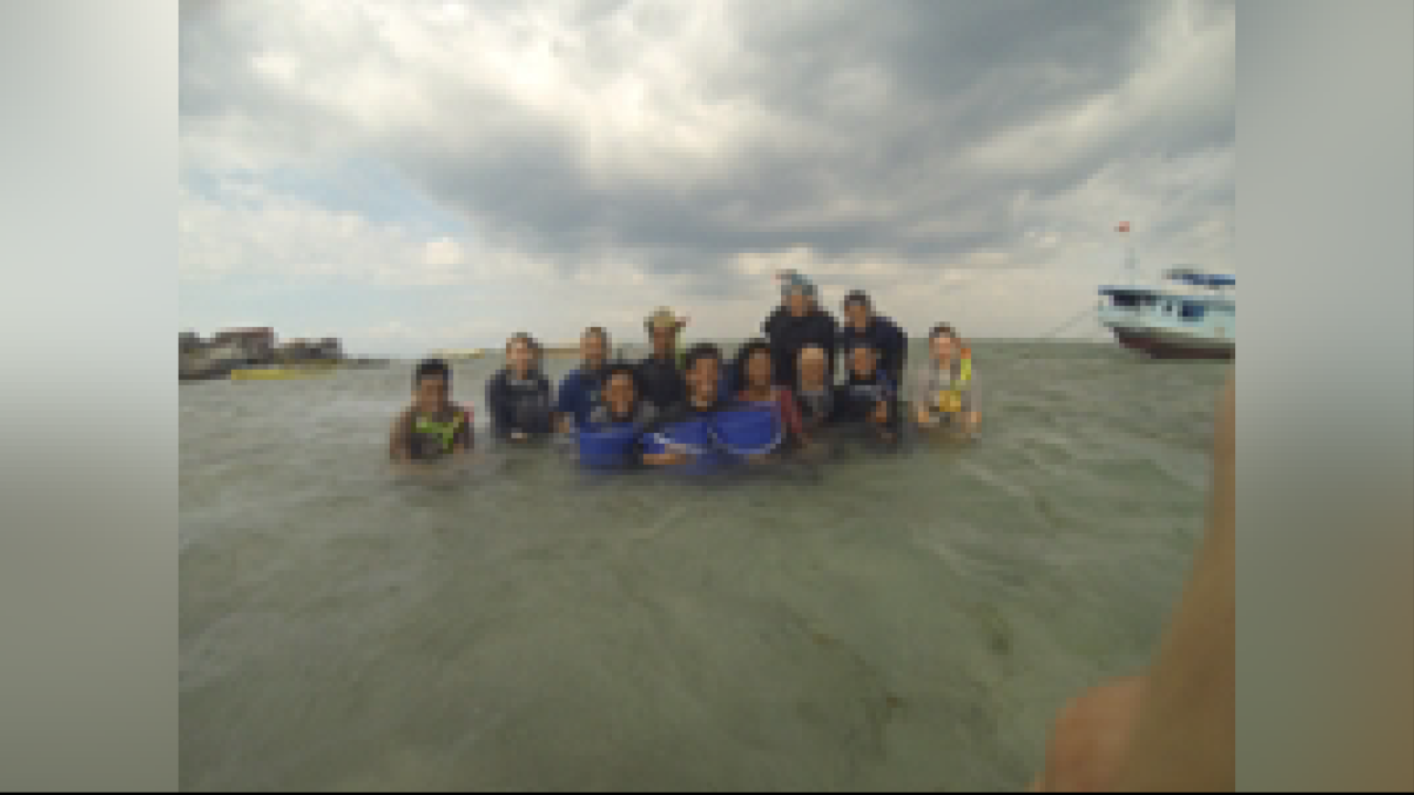 Susan Williams in ocean researching