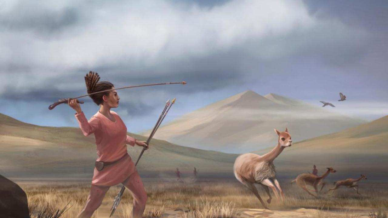 Illustration of female hunter depicting hunters who may have appeared in the Andes 9,000 years ago. (Matthew Verdolivo/UC Davis IET Academic Technology Services) Illustration of female hunter depicting hunters who may have appeared in the Andes 9,000 years ago. (Matthew Verdolivo/UC Davis IET Academic Technology Services)
